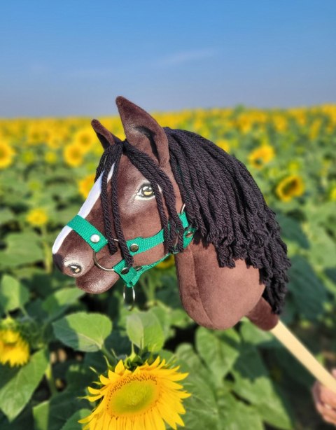 Hobby Horse Mały koń na kiju Premium - ciemogniady A4 Hobby Horse Mały koń na kiju Premium - ciemogniady A4