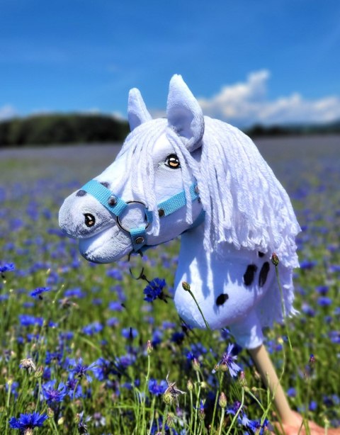 Hobby Horse Mały koń na kiju Premium - tarantowaty A4 Hobby Horse Mały koń na kiju Premium - tarantowaty A4