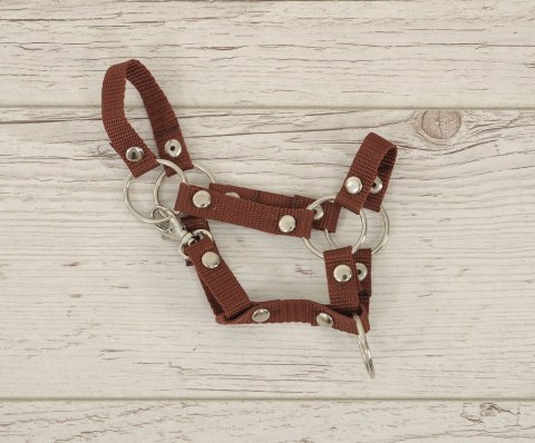 Kantar dla konia Hobby Horse A4 zapinany mały - brązowy Kantar dla konia Hobby Horse A4 zapinany mały - brązowy